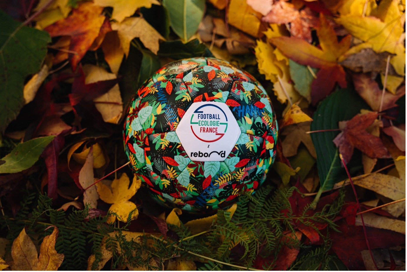 Football Ecologie France Dons Giving Tuesday Ecolosport
