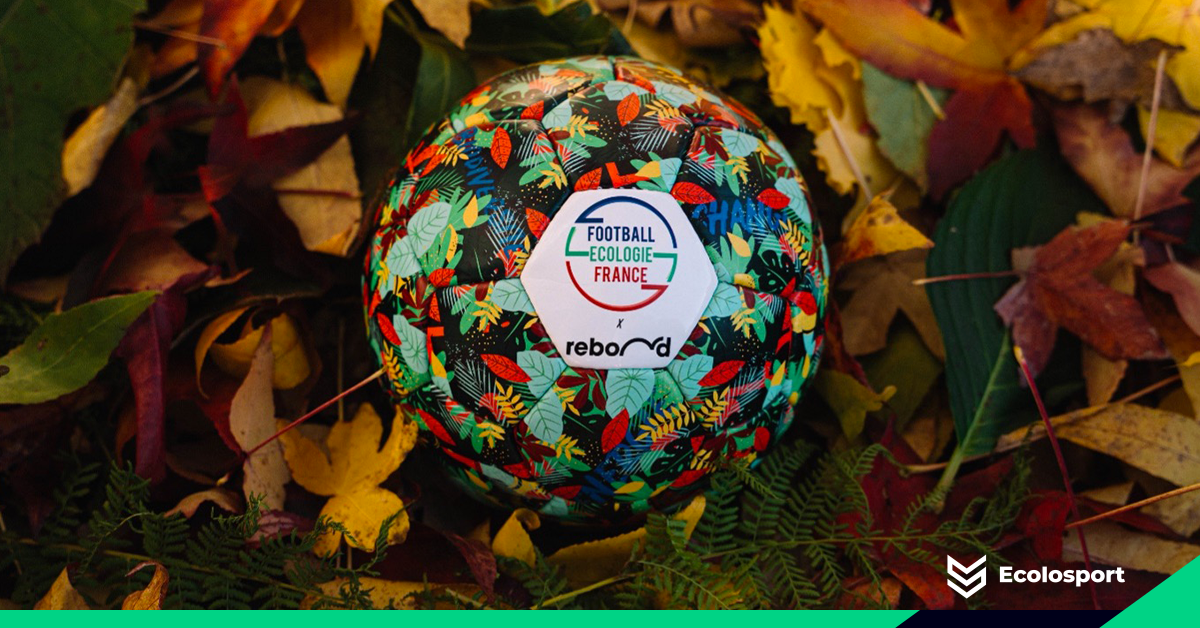 Football Ecologie France lance sa campagne de dons ! Ecolosport