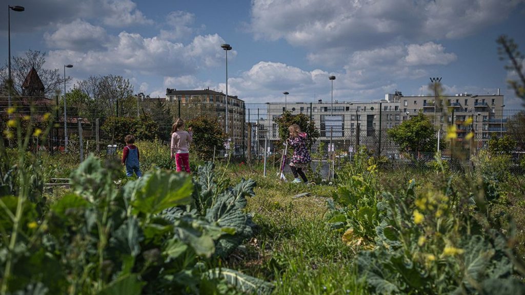 Jardin Aubervilliers Centre Aquatique Paris 2024 Ecolosport