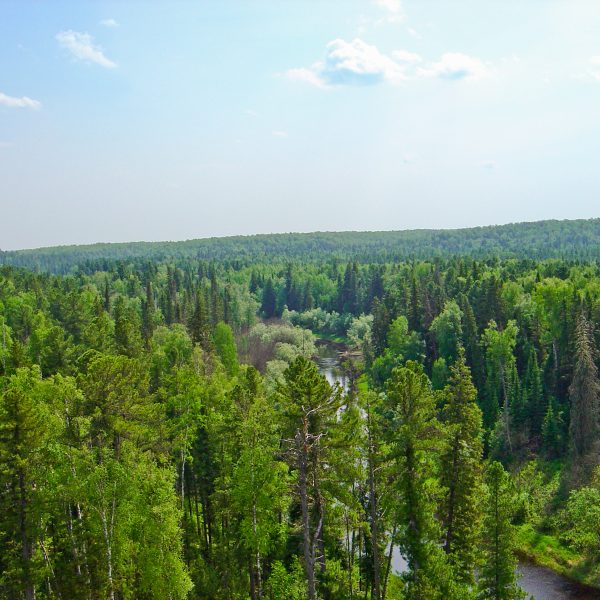 Run For Planet 15 millions trees for Siberia Ecolosport