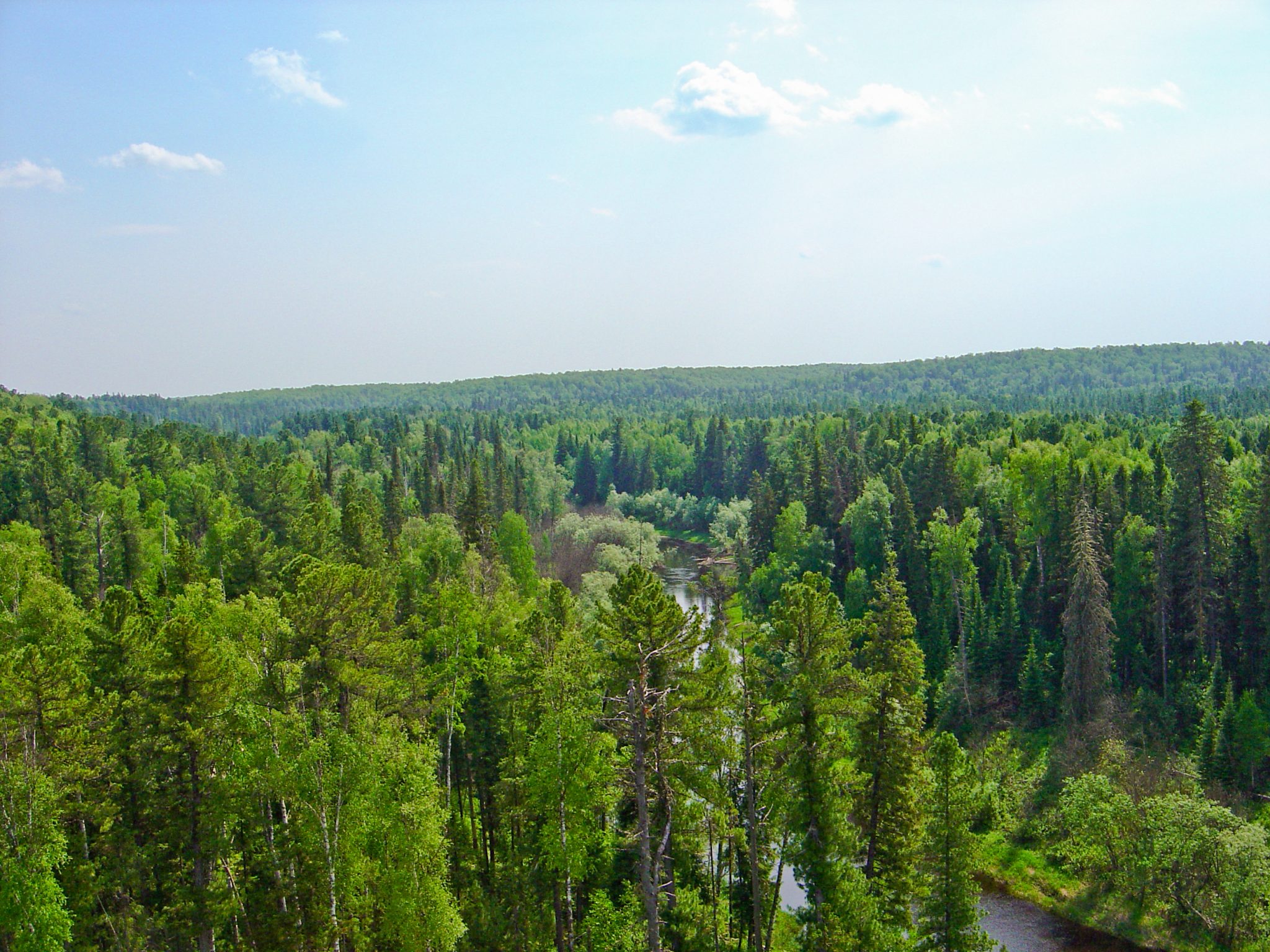 Run For Planet 15 millions trees for Siberia Ecolosport