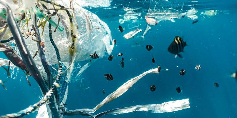 No Plastic Challenge in my sea Ecologie Ecolosport