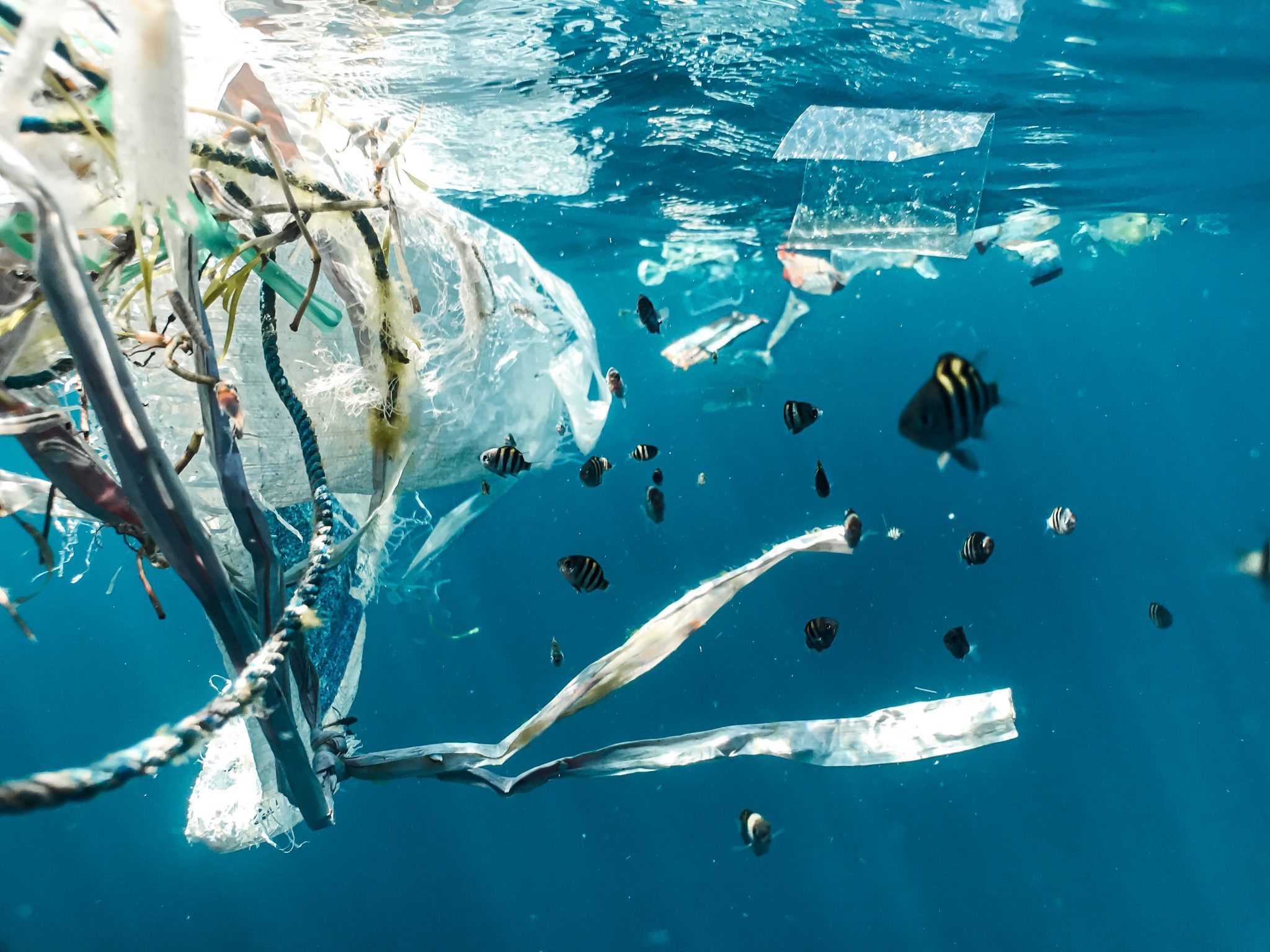 No Plastic Challenge in my sea Ecologie Ecolosport