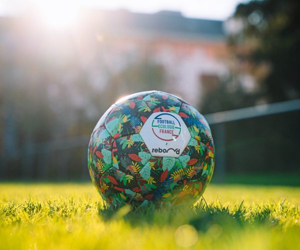 Football Ecologie France Consultation Nationale Ecolosport