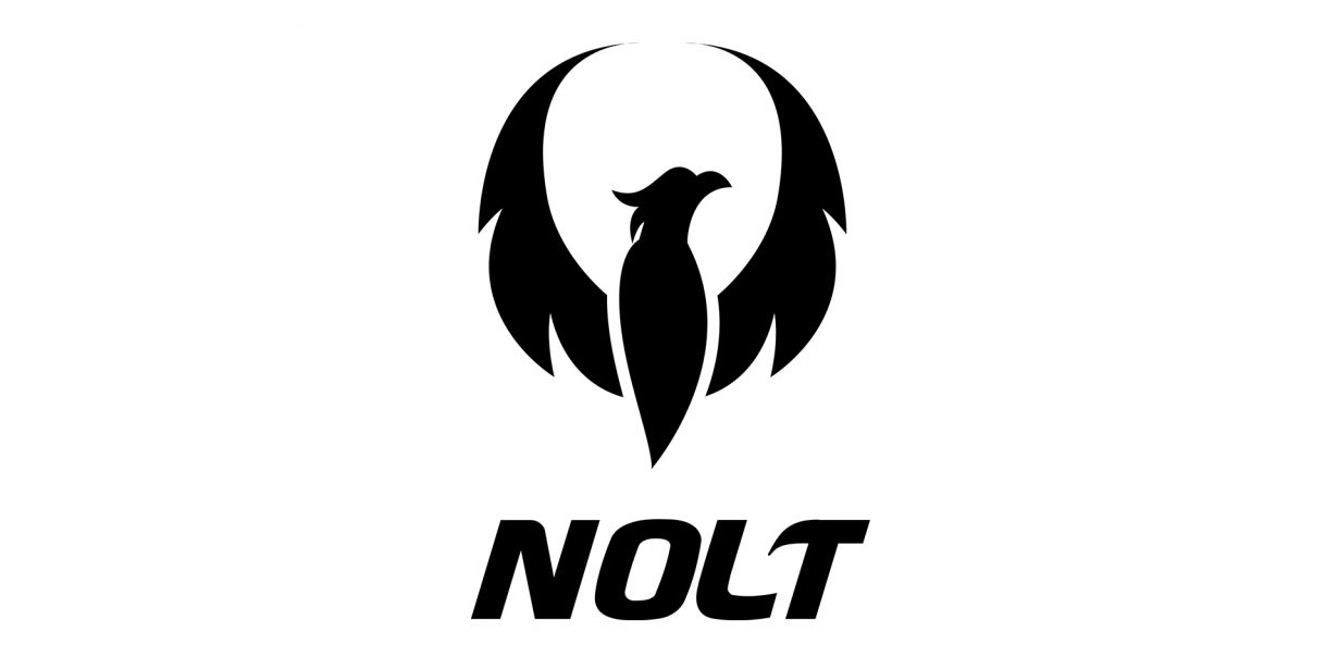 nolt logo 16-12 copie