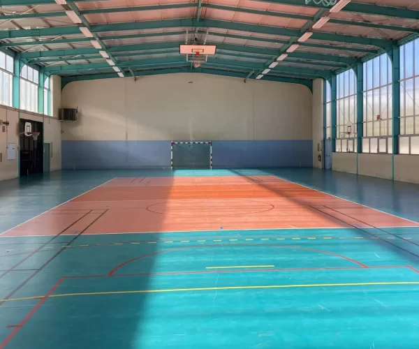 À Castres, une seconde vie pour le sol de l'Euro de Volley-ball Ecologie Ecolosport