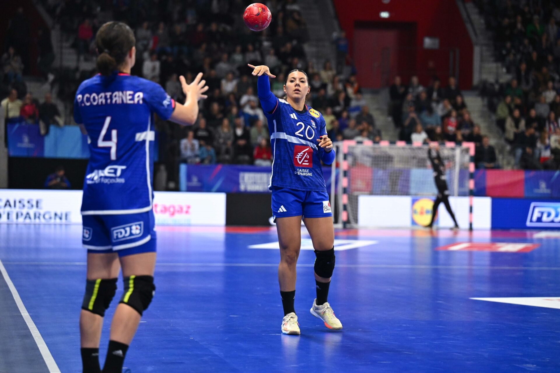 La Fédération Française de Handball fait un premier état des lieux de ses émissions carbone