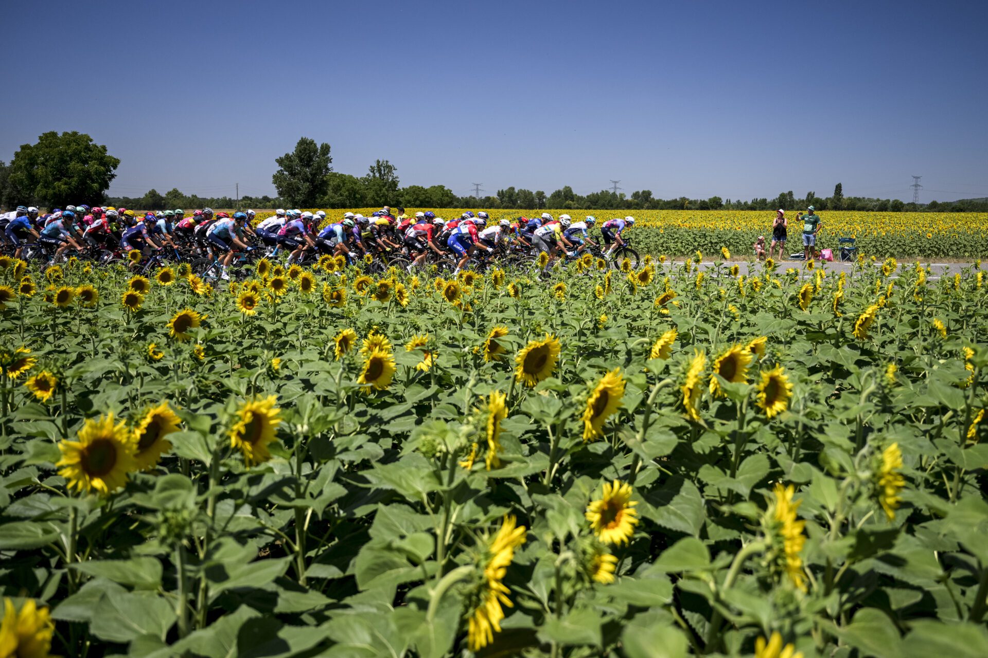 La progressive mise au vert du Tour de France